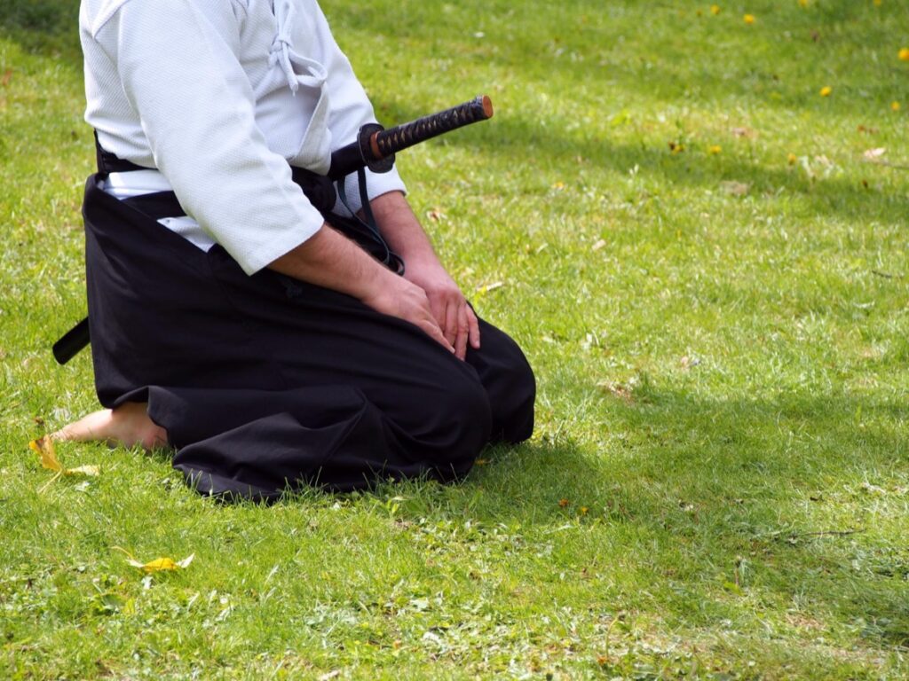 Aikido, choć może nieco mniej znane niż inne sztuki walki takie jak karate czy judo, posiada w Łodzi swoje wyjątkowe miejsce.