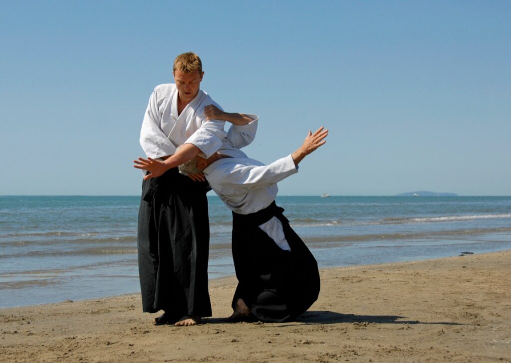 <iframe width="1236" height="695" data-src="https://www.youtube.com/embed/On5uSjhy7Sw" title="How does Aikido work?" frameborder="0" allow="accelerometer; autoplay; clipboard-write; encrypted-media; gyroscope; picture-in-picture; web-share" referrerpolicy="strict-origin-when-cross-origin" allowfullscreen></iframe>